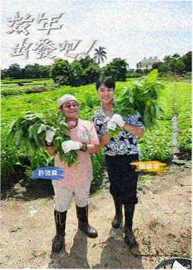 第七码头犯罪悬疑观测剧照